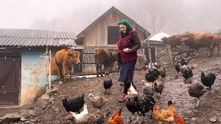 The Quiet Mountain Village: Winter Life, Farm Animals, and a Family Feast