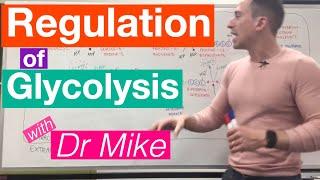 Glycolysis | Metabolism