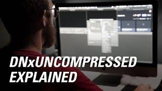 Avid DNxUncompressed Explained