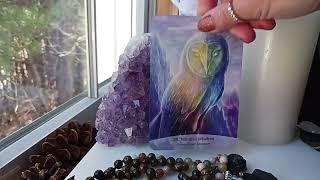 Nov 11, 2024 Daily Angel Message~ CREATE INNER HARMONY!