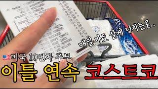 이틀 연속 코스트코 장보는 미국 10년차 주부 costco | 오랜만에 울타리몰 언박싱 | 미국 삼겹살은...? | 미국에서 한식 먹고 싶을땐?