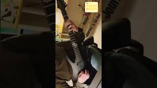 WINDIR-Journey to the End(Guitar Cover)