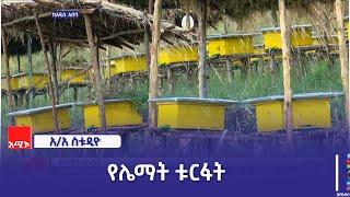 "የሌማት ቱርፋትን ተግባራዊ በማድረግ ተጠቃሚ ኾነናል" በኦሮሚያ ክልል የባሌ ዞን ነዋሪዎች