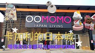 [卡加利移民]  卡加利的日本城? / 日本Omomo 也在這裡開店/ 唔可以去日本也可以暫時買到日常用品，除了Dollar Store外多一個選擇  ( #卡加利移民  #加拿大移民資訊)