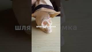 Шляпа из Соломки Летняя #беларусь #минск #весна2025 #шляпа #шляпы #соломка #головныеуборы #погода