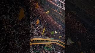 kabylie boys ultras #jsk #jskabylie