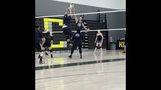 Tsunami rushes to Joust in the air with other Spiker! #shorts