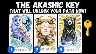 The Akashic Key That Will Unlock Your Path Now! ⎮pick a card 🃏