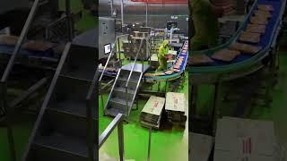 Sausage dual channel packing and palletizing line#sausage making machines