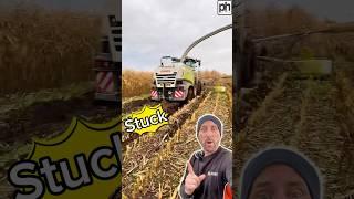 It Went Down! What a Challenging Maize Harvest Season