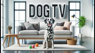 Dog TV: 12 Hours of Relaxing Music and Videos for Dogs. Soothe Your Pup's Anxiety.