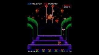 MAME Donkey Kong 3 [Hard] World Record George Riley 5,915,700