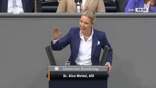 Sie sind der Kanzler des Niedergangs!  Alice Weidel kritisiert scharf | #AfD