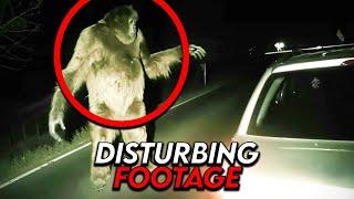 Most Bizarre Camping Footage Caught On Camera To Date