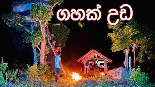 දවස් 4කට පස්සේ කරලියට  | පැලක හදපු රයිස් එක 