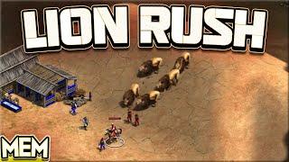 The Lion Rush