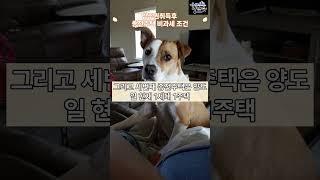 재개발 입주권 비과세등 입주권사고 기존 주택 비과세 받을 수 있는 조건?