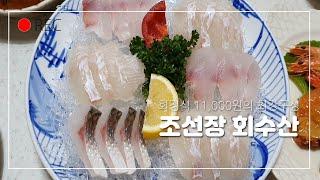 [대구맛집]달서구 숨은맛집 착한가격 회정식 11,000원 회맛집/조선장회수산/Set Menu with Sliced Raw Fish Mukbang