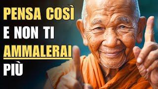 Connessione tra pensieri, felicità e salute | Saggezza buddista zen