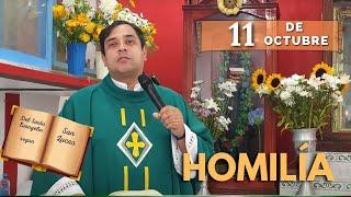 EVANGELIO DE HOY viernes 11 de octubre del 2024 - Padre Arturo Cornejo