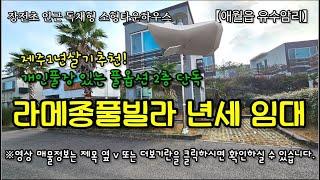 [황금복대지TV]  제주 애월읍 유수암리 장전초 인근 개인풀장 있는 풀옵션 단독 독채 소형타운하우스 라메종풀빌라 년세 임대 매물정보