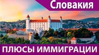 Словакия плюсы иммиграции. Европа.