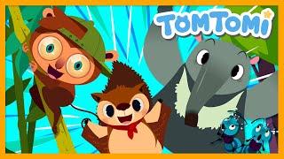 Unusual Animals | Unusual Series | Animal Songs | Kids Song | TOMTOMI