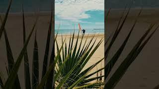 12 марта, Виндсёрфинг на Кипре. Уже тепло, все на воду. Windsurfing Cyprus. #shorts