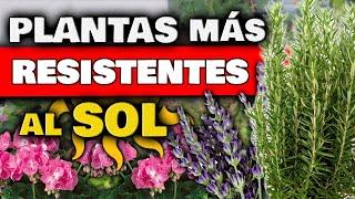 TOP 5 PLANTAS MÁS RESISTENTES al SOL DIRECTO y CALOR | Huerto Urbano | Huertas Urbanas y Jardín