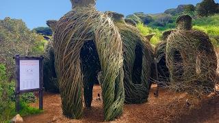 Timelapse of Artist Patrick Dougherty Creating A Willow Sculpture at the Bay Area Discovery Museum