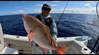 3 Hours of Eating Whatever I Catch  - Florida Saltwater Offshore Edition