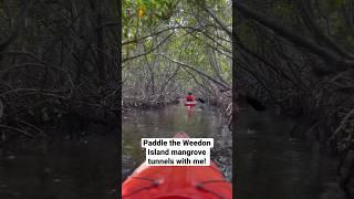  NEXT TOUR is coming up on June 24th! Come #kayaking with me! #Tourguide #Florida #mangrovetunnels