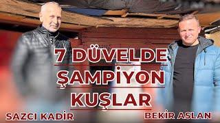 7 DÜVELDE ŞAMPİYON KUŞLAR - SAZCI KADİR & BEKİR ASLAN KÜMES ZİYARETİ OYUNKUŞU UÇUMU