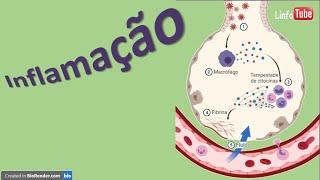 Inflamação