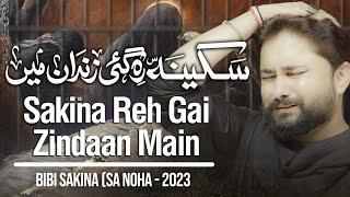 Nohay 2023 | Sakina Reh Gai Zindaan Main | Syed Raza Abbas Zaidi | Muharram 1445 | Bibi Sakina Noha