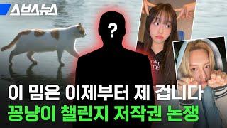 밈이 된 뉴스 "꽁꽁 얼어붙은 한강 위로..." 외국인이 저작권 훔쳐 감;; / 스브스뉴스