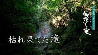 仙落としの滝【雲仙市 千々石町】「滝シリーズ」神秘のパワースポット