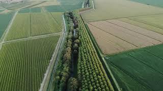 Agriculture Land Drone view - Free stock Footage - No copyright