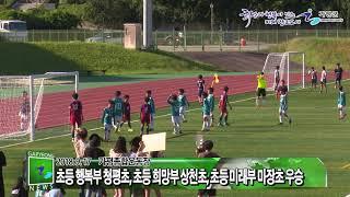 제30회 가평군 체육회장기 초중고 축구대회