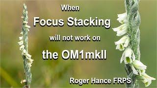 When conditions mean that Focus Stacking will not work on the OM1mkII with the 90mm Macro Lens