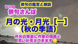 【俳句さんぽ・139回】月光１（秋の季語）月の実景に作者の情感と思いがみえてきます