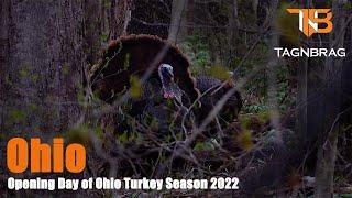 Opening Day of Ohio Turkey season 2022