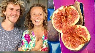 DAY IN THE LIFE : RAW VEGAN FRUITARIAN COUPLE