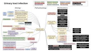 Urinary tract infection, UTI (mechanism of disease)