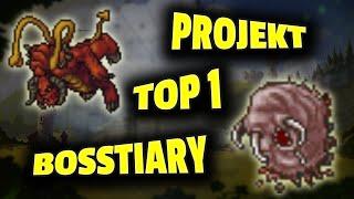 Tibia - Projekt TOP 1 w Bosstiary - Podsumowanie #4