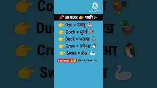 #birds #birdsnamesinhindiandenglish #wordmeaning #englishwordmeaning #vocabulary #viralshort