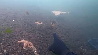 What's under the water in NJ bays and inlets?  Let's find out!  Point Pleasant