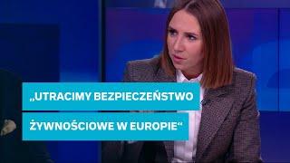 "Pan nie ma pojęcia o rynku energii". Kontrowersje wokół pomysłów UE