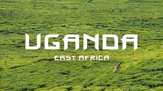 Уганда. Восточная Африка 4K / Uganda. East Africa 4K