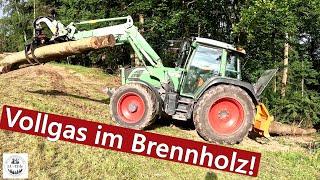 Vollgas im Brennholz! Es geht weiter mit dem Fendt 312 Vario Kraftpaket